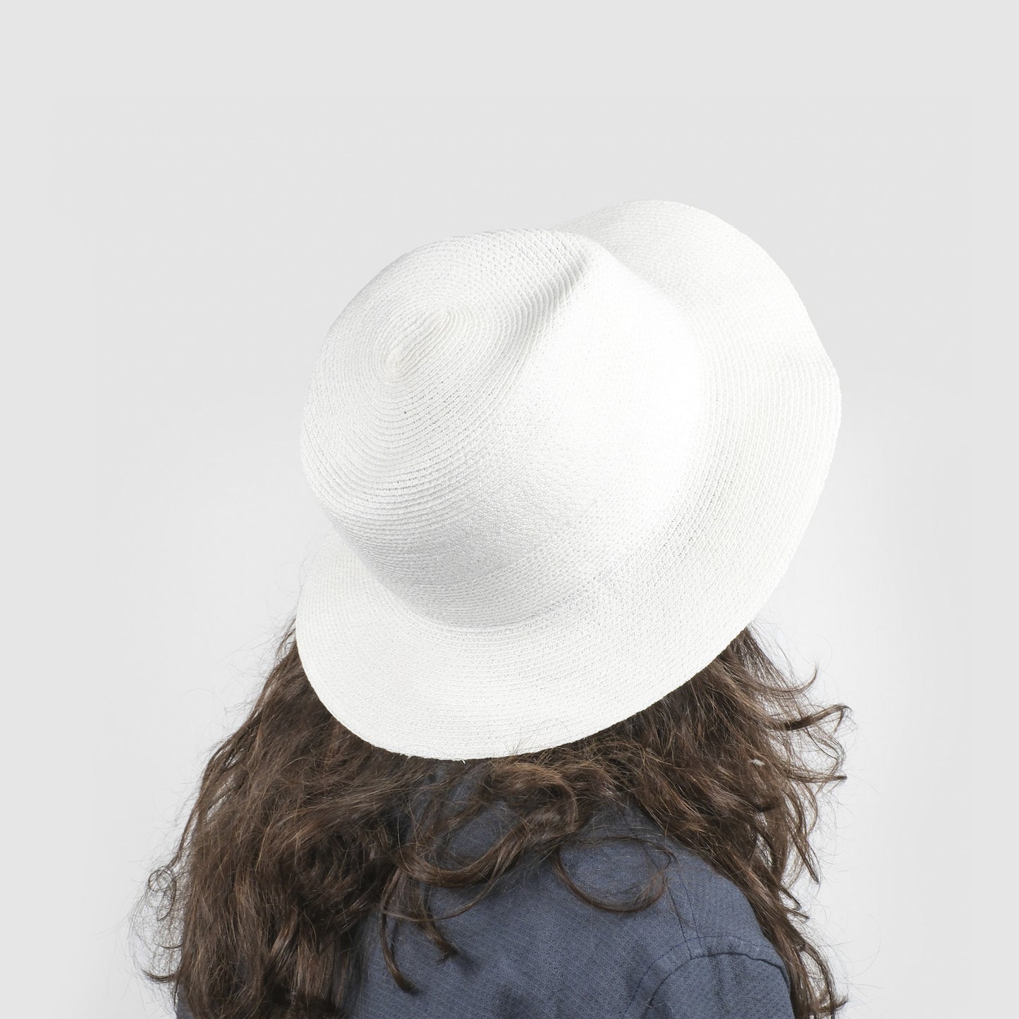 ALBA lapin prugna